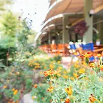 Ivana Palace - Free Parking ホテル 4*