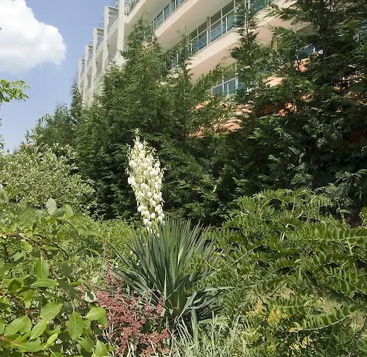 Ivana Palace - Free Parking Sunny Beach