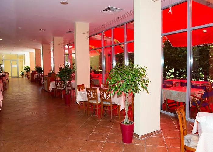 Ivana Palace - Free Parking Otel 4*