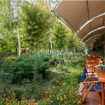 Hotel Ivana Palace - Free Parking Sunny Beach