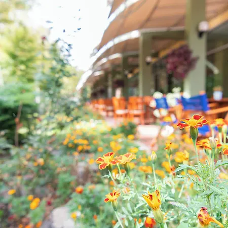 Ivana Palace - Free Parking Готель 4*