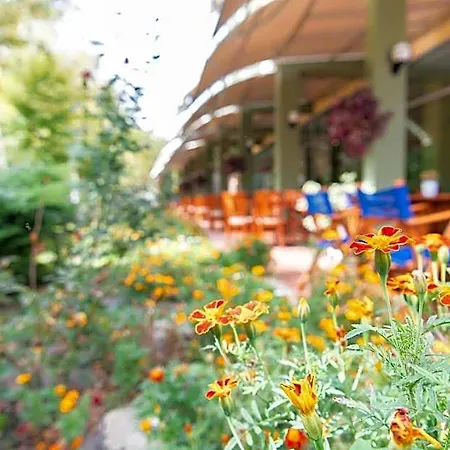 Хотел Ivana Palace - Free Parking 4*