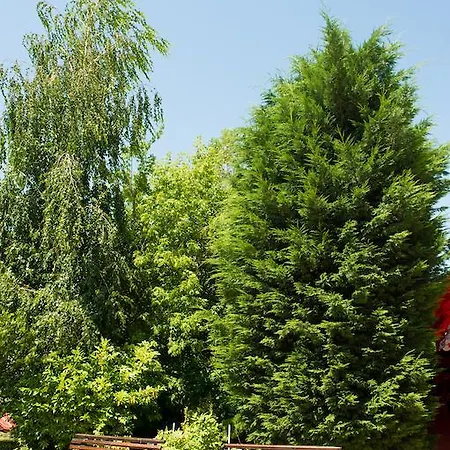 Ivana Palace - Free Parking