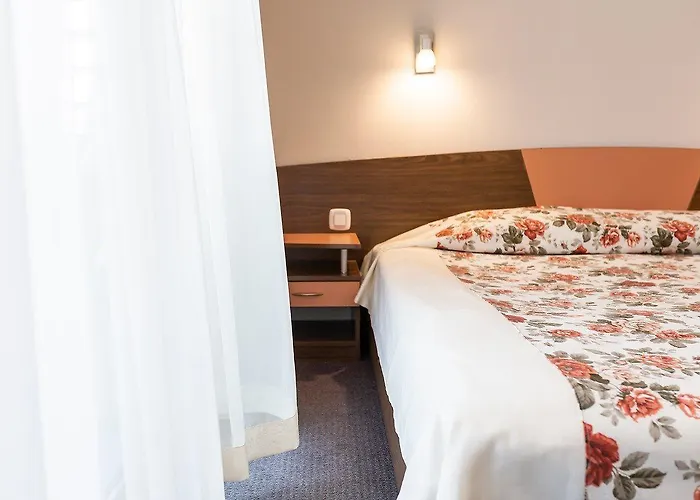 Hotel Ivana Palace - Free Parking