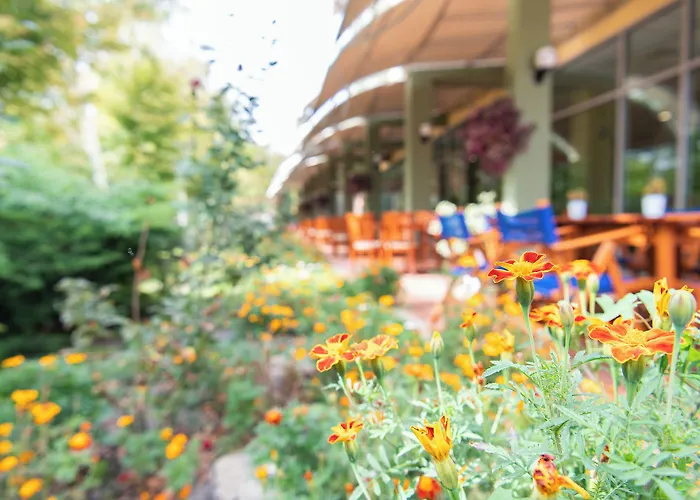 Ivana Palace - Free Parking Отель 4*