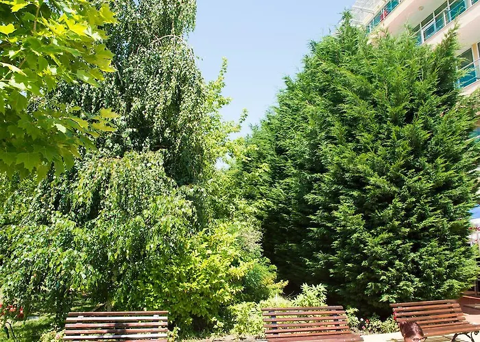 Отель Ivana Palace - Free Parking Солнечный берег