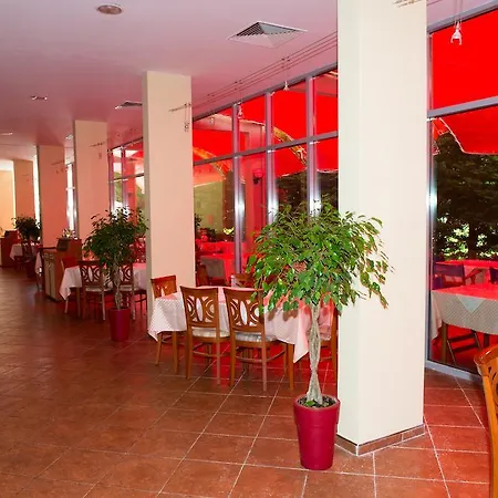 Ivana Palace - Free Parking Hotell 4*